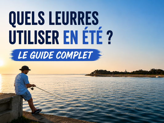 Quels leurres utiliser en été ? Le guide complet !